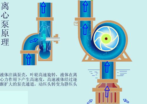 離心泵啟動時要不要關(guān)閉出口閥門